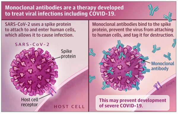 Monoclonal Antibodies for COVID-19.png
