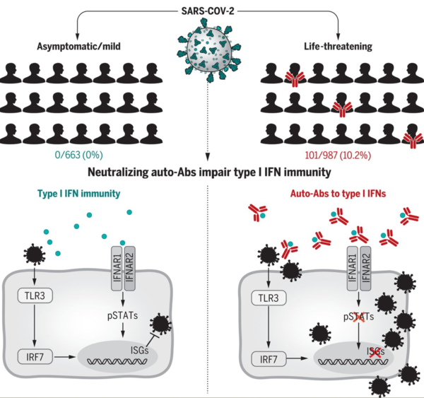 Autoantibodies against type I IFNs in patients with life-threatening COVID-19.png