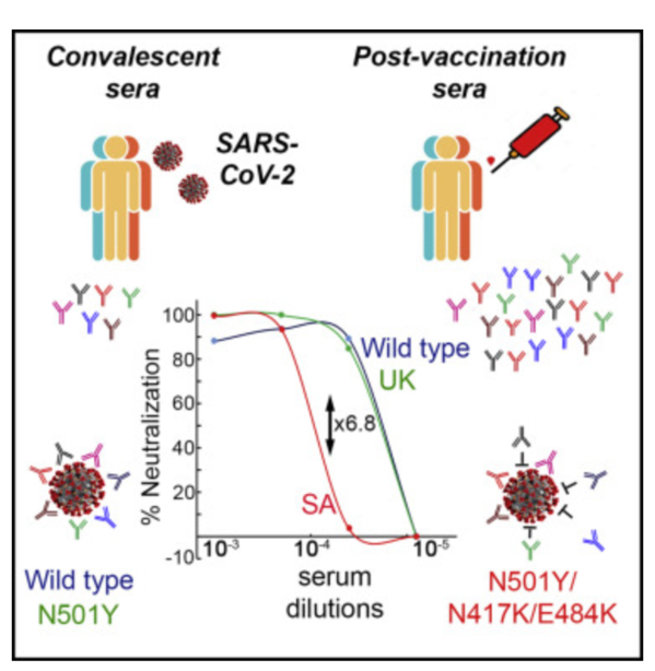 SARS-CoV-2 spike variants exhibit differential infectivity and neutralization resistance to convalescent or post-vaccination sera.png